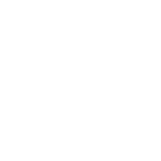 Wave Icon